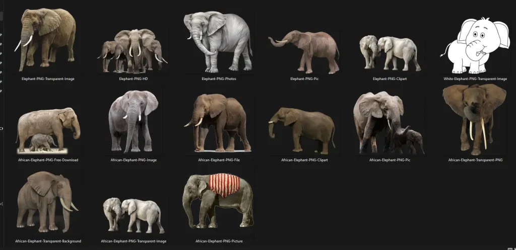 پکیج حیات وحش