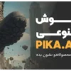 cover PIKA ART